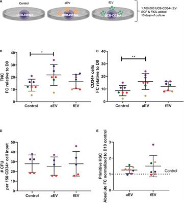 Extracellular Vesicles Derived From Adult and Fetal Bone Marrow Mesenchymal Stromal Cells Differentially Promote ex vivo Expansion of Hematopoietic Stem and Progenitor Cells